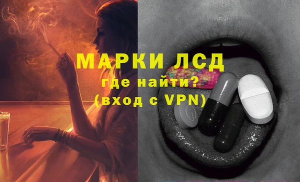 хмурый Алзамай