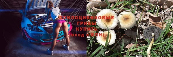 хмурый Алзамай